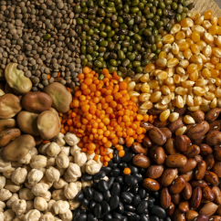 Image of MitoHeal™