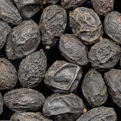 Image of Saw Palmetto Extract